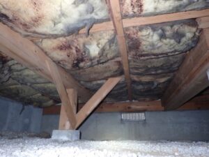 茨城県神栖市にある築32年の一戸建て住宅のカビ消毒の施工前画像